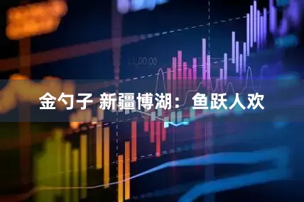 金勺子 新疆博湖：鱼跃人欢