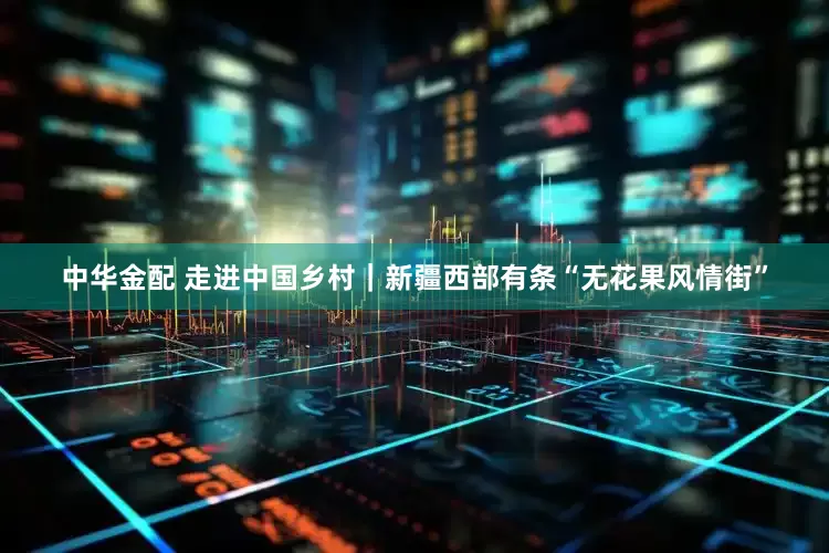 中华金配 走进中国乡村｜新疆西部有条“无花果风情街”