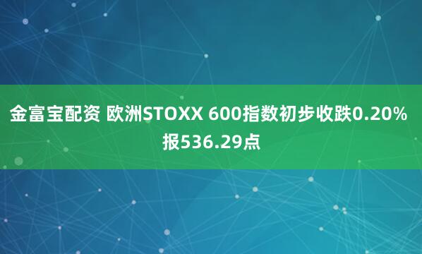 金富宝配资 欧洲STOXX 600指数初步收跌0.20% 报536.29点