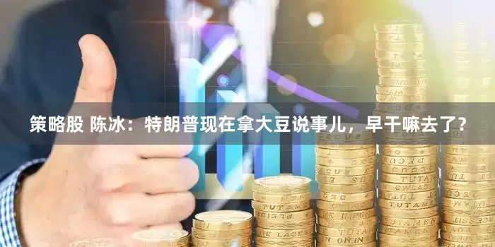 策略股 陈冰：特朗普现在拿大豆说事儿，早干嘛去了？