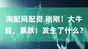 淘配网配资 刚刚！大牛股，暴跌！发生了什么？