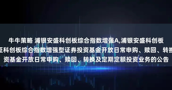 牛牛策略 浦银安盛科创板综合指数增强A,浦银安盛科创板综合指数增强C 浦银安盛上证科创板综合指数增强型证券投资基金开放日常申购、赎回、转换及定期定额投资业务的公告